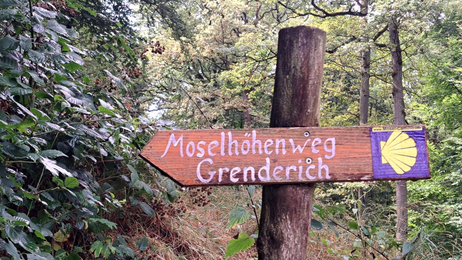 Hochgeladenes Bild